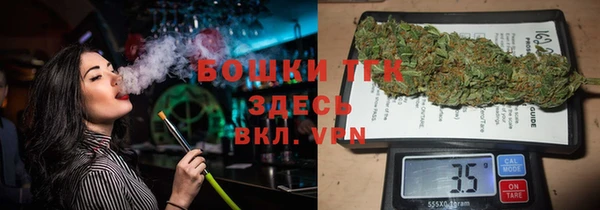 PSILOCYBIN Верхний Тагил