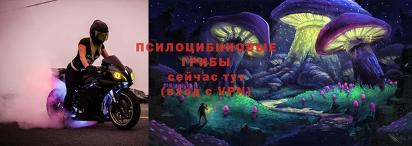 PSILOCYBIN Верхний Тагил