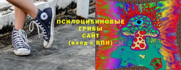 PSILOCYBIN Верхний Тагил
