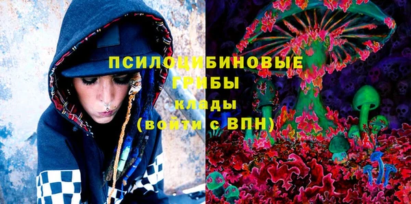 PSILOCYBIN Верхний Тагил