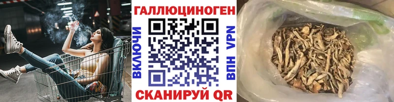 продажа наркотиков  Новокубанск  Псилоцибиновые грибы Psilocybe 